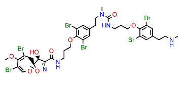 Ceratinadin E